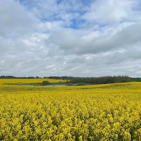 6 Person In Thisted-by Traum بيت للعطل *